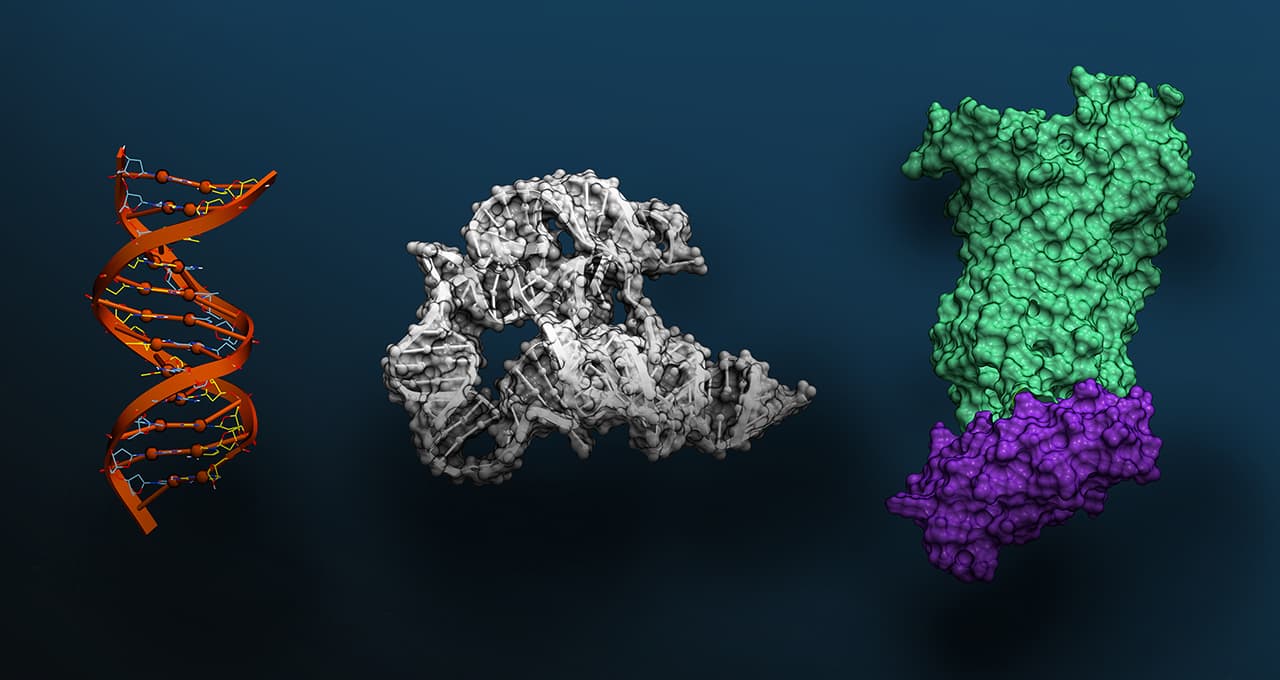 Modelo Avançado de IA Revoluciona Ciências Biomoleculares no Brasil